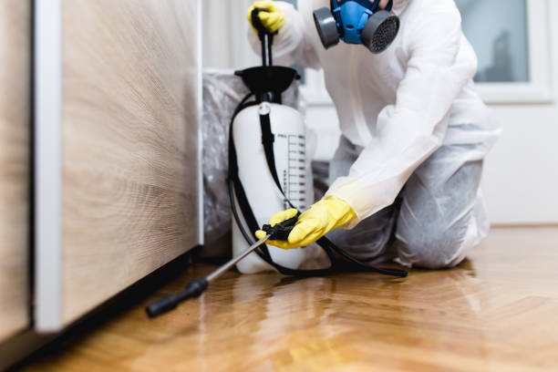 Best Rat Extermination Near Me  in Berkeley, CA