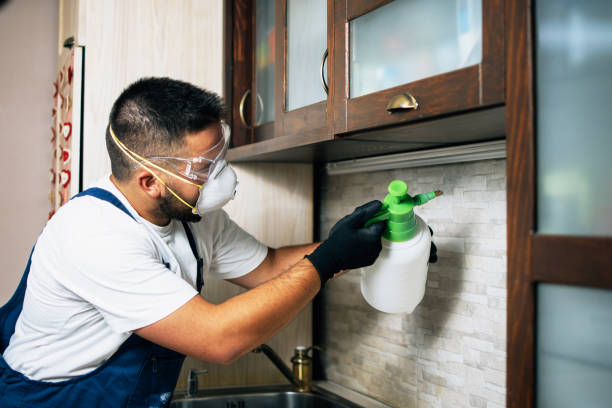 Best Ant Control Services  in Berkeley, CA