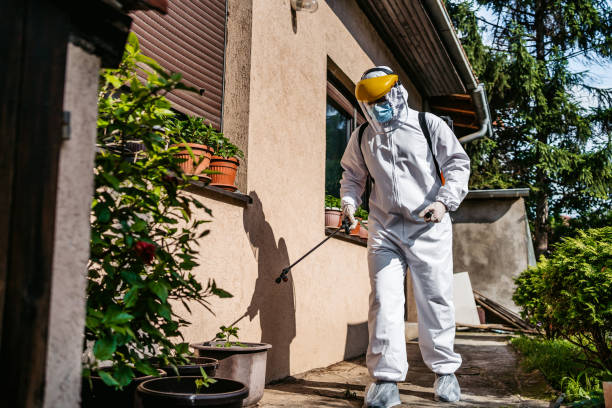 Best Affordable Pest Control Services  in Berkeley, CA