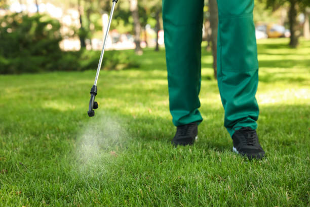 Best Ant Control Services  in Berkeley, CA