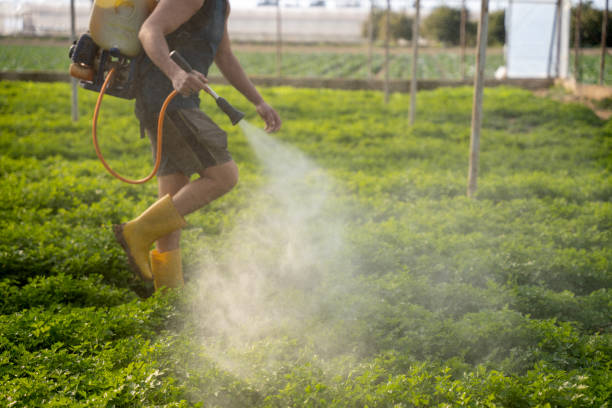 Best Pest Control Cost  in Berkeley, CA
