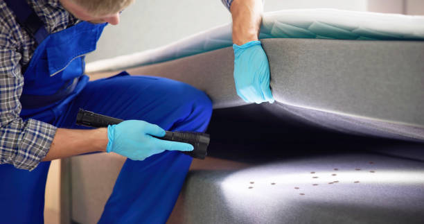 Best Pest Control for Restaurants  in Berkeley, CA