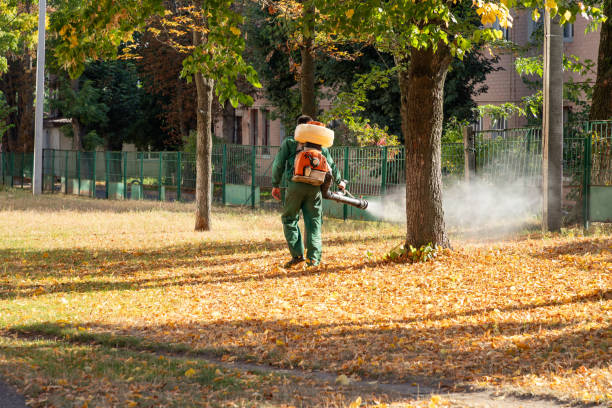 Best Pest Prevention Services  in Berkeley, CA