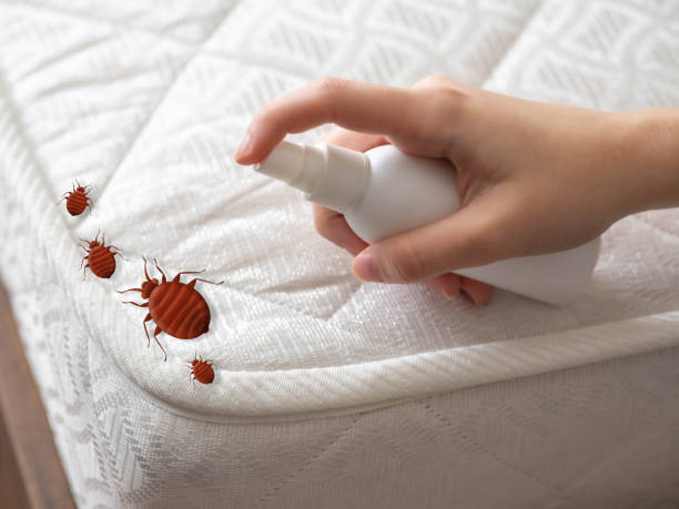 Best Local Pest Control Services  in Berkeley, CA