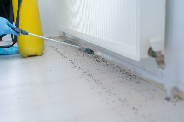 Best Pest Inspection Near Me  in Berkeley, CA