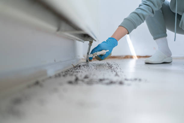 Best Pest Control for Businesses  in Berkeley, CA