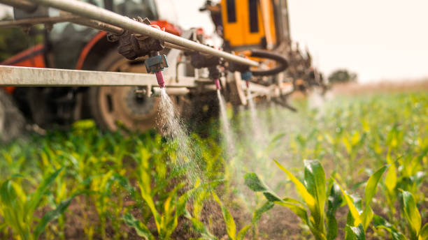 Best Mosquito Control Services  in Berkeley, CA